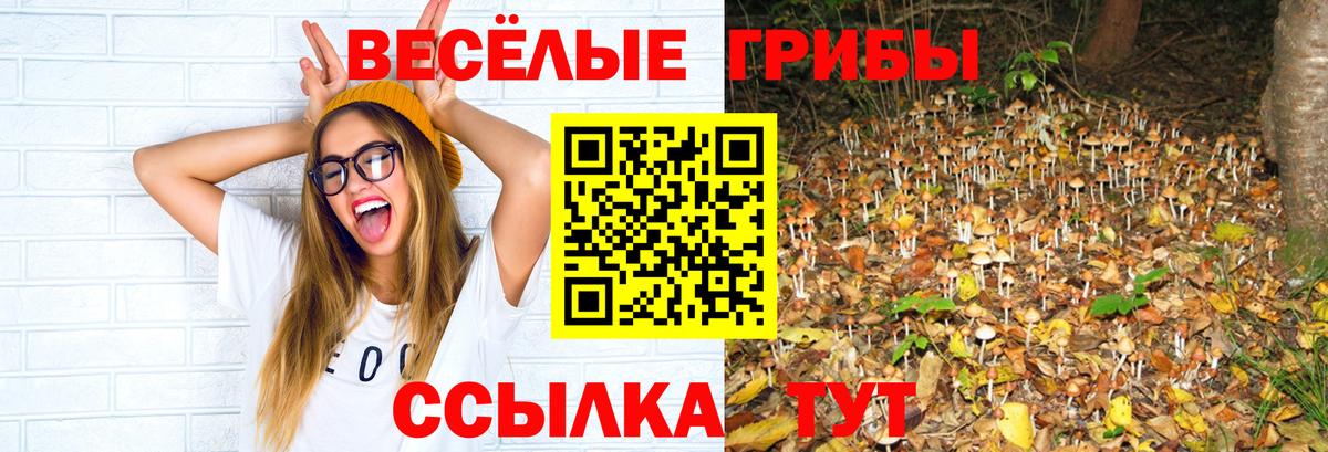 Верхний Уфалей  Галлюциногенные грибы прущие грибы  Галлюциногенные грибы MAGIC MUSHROOMS  Вход с VPN 